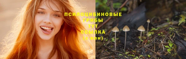 кристаллы Краснослободск