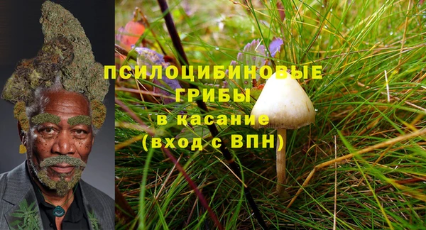 эйфоретик Красноперекопск