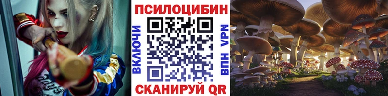 Купить где  Буй  Галлюциногенные грибы мицелий 
